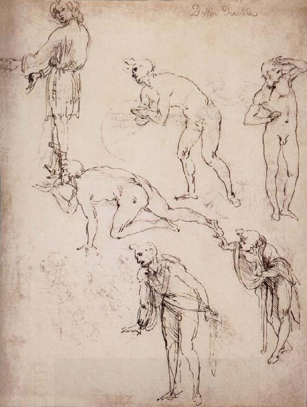 LEONARDO da Vinci Six studies fur naked or clothed men oil painting picture